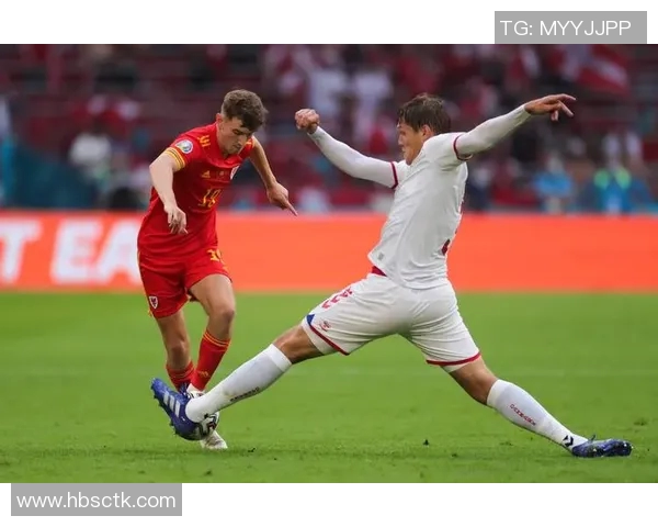 威尔士足球明星瓦格纳的辉煌历程与未来展望