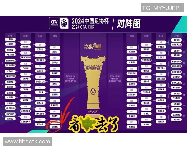 2017中国足协杯精彩回顾与赛程分析揭示足球盛事背后的故事与激情